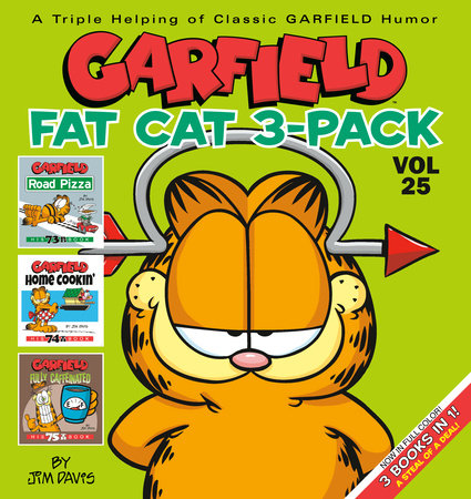 Garfield Fat Cat 3-Pack #25 Paperback by Jim Davis