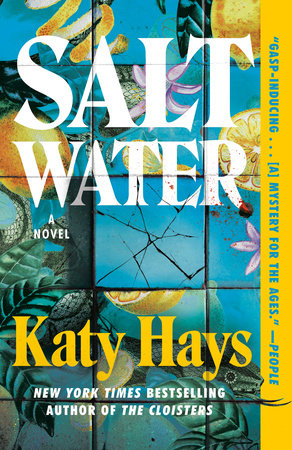 Saltwater Paperback by Katy Hays