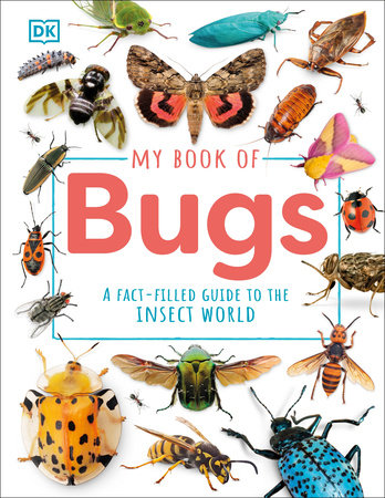 My Book of Bugs Hardcover by Ben Hubbard