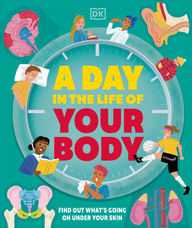 A Day in the Life of Your Body Hardcover by DK