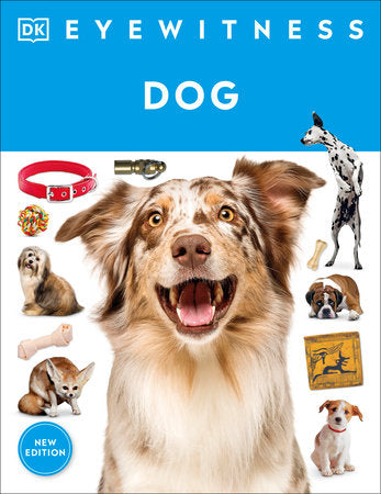 Eyewitness Dog Paperback by DK