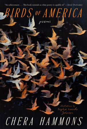 Birds of America Paperback by Chera Hammons