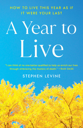 A Year to Live Paperback by Stephen Levine