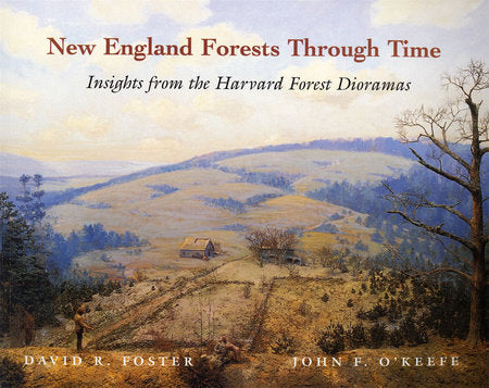New England Forests Through Time Paperback by David R. Foster