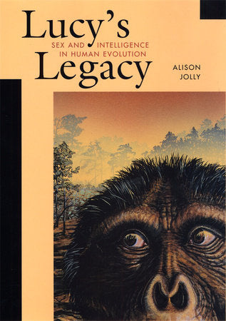 Lucy's Legacy Paperback by Alison Jolly