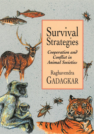 Survival Strategies Paperback by Raghavendra Gadagkar