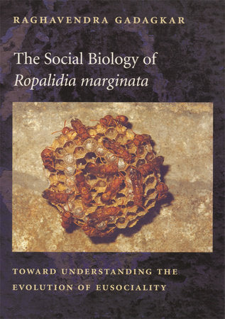 Social Biology of Ropalidia marginata Hardcover by Raghavendra Gadagkar