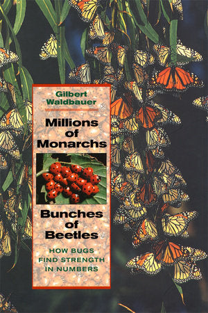 Millions of Monarchs, Bunches of Beetles Paperback by Gilbert Waldbauer