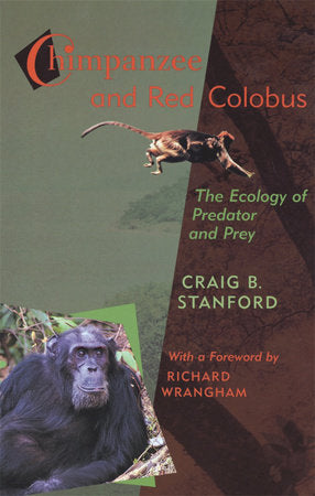 Chimpanzee and Red Colobus Paperback by Craig B. Stanford