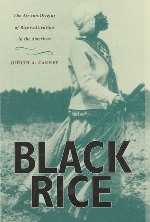 Black Rice Paperback by Judith A. Carney
