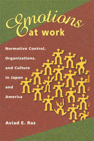 Emotions at Work Hardcover by Aviad E. Raz