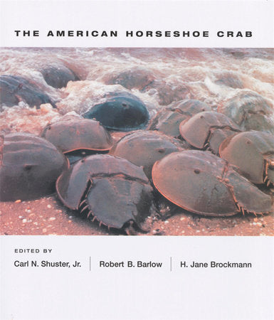 American Horseshoe Crab Hardcover by Carl N. Shuster Jr.