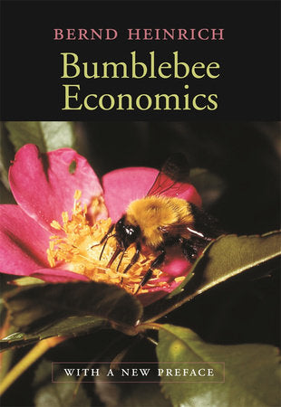 Bumblebee Economics Paperback by Bernd Heinrich