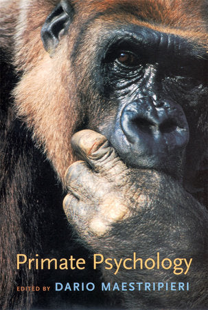 Primate Psychology Paperback by Dario Maestripieri