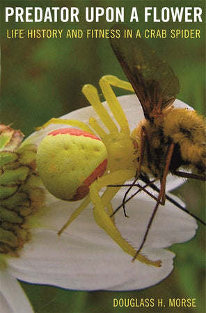 Predator upon a Flower Hardcover by Douglass H. Morse