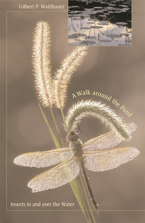 Walk around the Pond Paperback by Gilbert Waldbauer