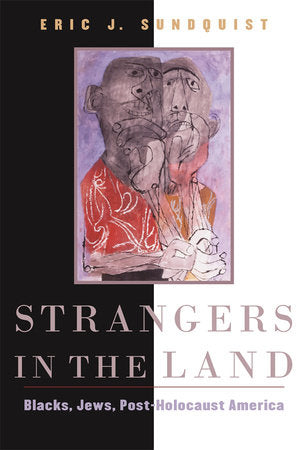 Strangers in the Land Paperback by Eric J. Sundquist