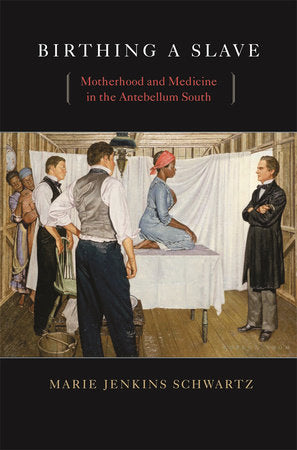 Birthing a Slave Paperback by Marie Jenkins Schwartz