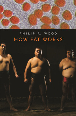 How Fat Works Paperback by Philip A. Wood