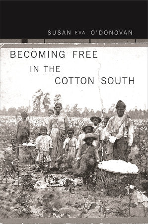 Becoming Free in the Cotton South Paperback by Susan Eva O'Donovan
