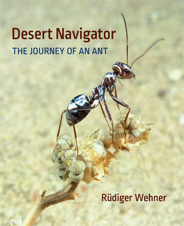 Desert Navigator Hardcover by Rudiger Wehner
