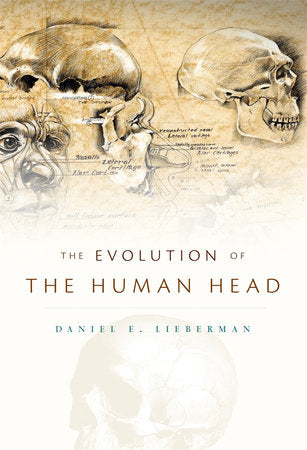 Evolution of the Human Head Hardcover by Daniel E. Lieberman
