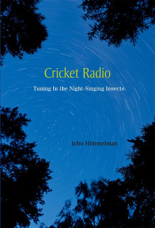 Cricket Radio Hardcover by John Himmelman