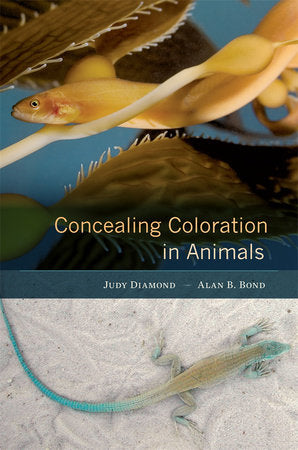 Concealing Coloration in Animals Hardcover by Judy Diamond