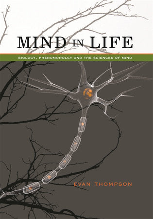 Mind in Life Paperback by Evan Thompson