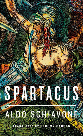 Spartacus Hardcover by Aldo Schiavone