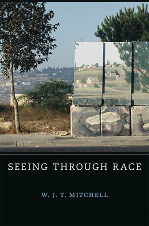 Seeing Through Race Hardcover by W. J. T. Mitchell