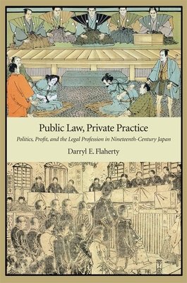 Public Law, Private Practice Hardcover by Darryl E. Flaherty