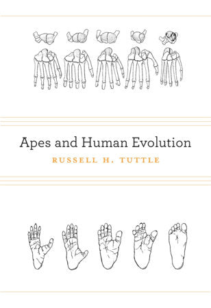 Apes and Human Evolution Hardcover by Russell H. Tuttle