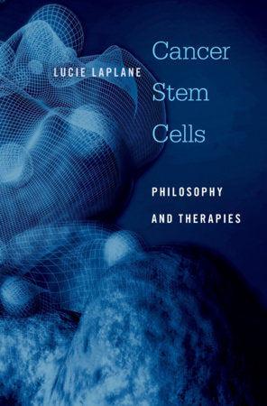 Cancer Stem Cells Hardcover by Lucie Laplane