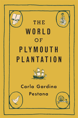 World of Plymouth Plantation Hardcover by Carla Gardina Pestana