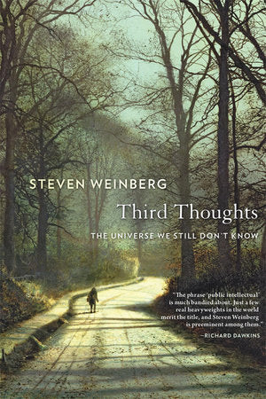 Third Thoughts Paperback by Steven Weinberg