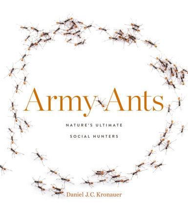 Army Ants Hardcover by Daniel J. C. Kronauer