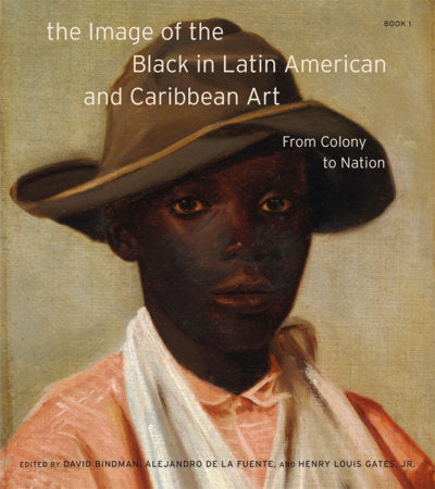 The Image of the Black in Latin American and Caribbean Art Hardcover by David Bindman