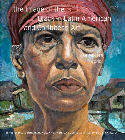 The Image of the Black in Latin American and Caribbean Art Hardcover by David Bindman