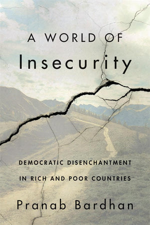 World of Insecurity Hardcover by Pranab Bardhan
