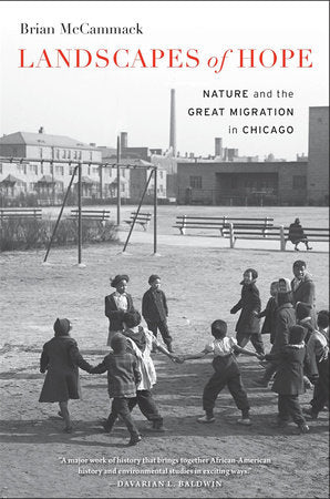 Landscapes of Hope Paperback by Brian McCammack