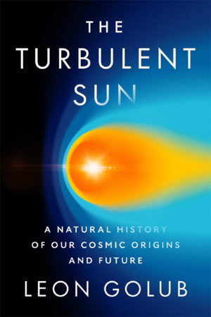 Turbulent Sun Hardcover by Leon Golub