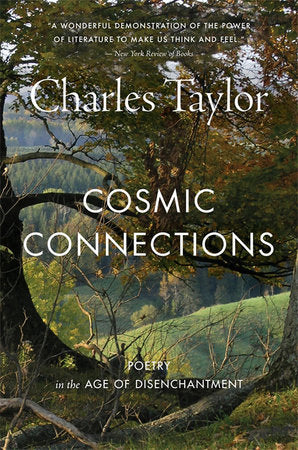 Cosmic Connections TR by Charles Taylor