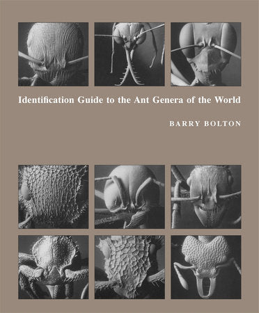 Identification Guide to the Ant Genera of the World Hardcover by Barry Bolton