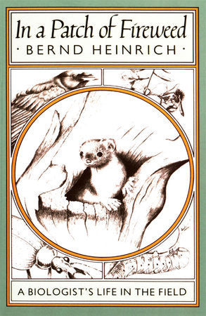 In a Patch of Fireweed Paperback by Bernd Heinrich