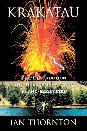 Krakatau Paperback by Ian Thornton