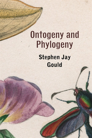 Ontogeny and Phylogeny Paperback by Stephen Jay Gould