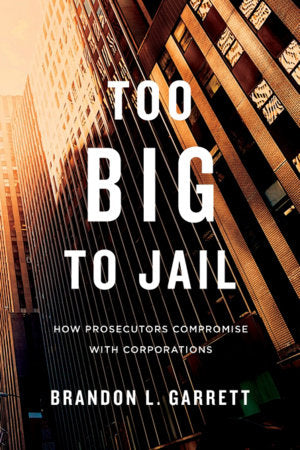 Too Big to Jail Paperback by Brandon L. Garrett