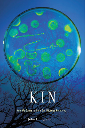 Kin Hardcover by John L. Ingraham
