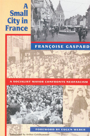 Small City in France Paperback by Francoise Gaspard